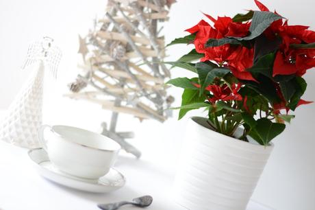 Joyeux Noël ! Joyeux Noel 2015 CSR 4
