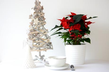 Joyeux Noël ! Joyeux Noel 2015 CSR 1