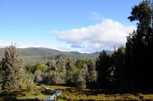 Tasmanie, la magnifique.