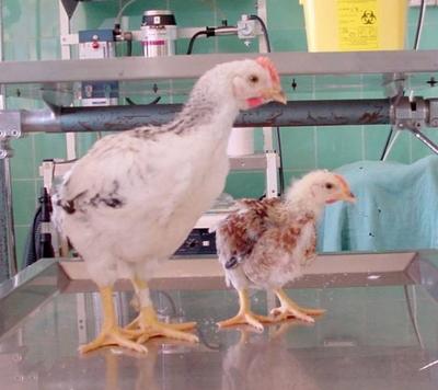 Total donne 102 millions à l’état…affligeant. Total donne 102 millions à l’état…affligeant.