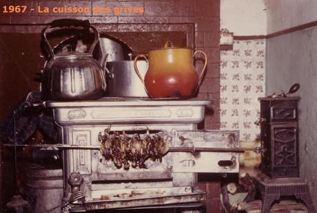 D’hier à aujourd’hui grives1