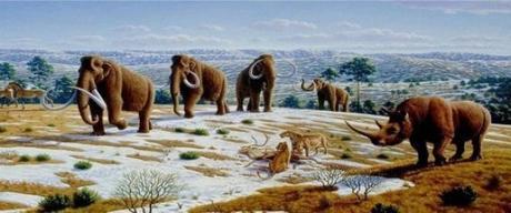La résurrection des mammouths se fera peut-être plus rapidement que vous ne le pensez MAMMOUTH 1