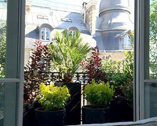 Défendez la Planète en végétalisant* le bord de vos fenêtres ! home-design