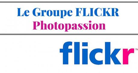 Le groupe Flickr de Photopassion