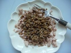 RILLETTE DE FOIE GRAS AUX LENTILLES P1260001