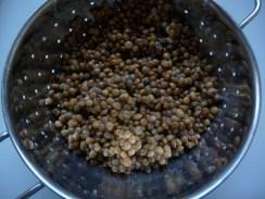 RILLETTE DE FOIE GRAS AUX LENTILLES P1240997