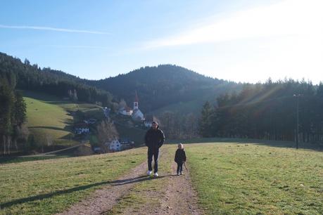 De retour en forêt noire ... forêt noire