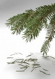 C'est la rentrée images (1).jpg