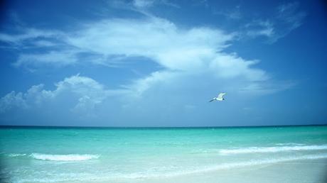 Message in the bottle 3 de 3 Message in the bottle 3 de 3