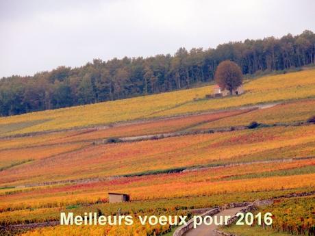 Pascal voeux 2015 -047