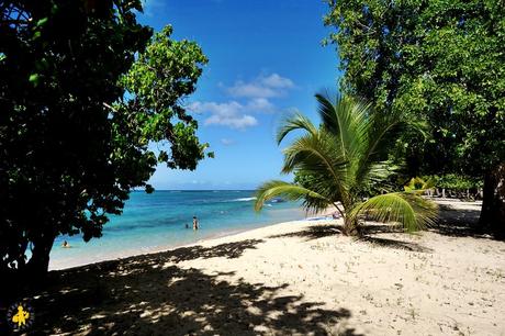 Que faire en famille en Guadeloupe? Que faire en famille en Guadeloupe?