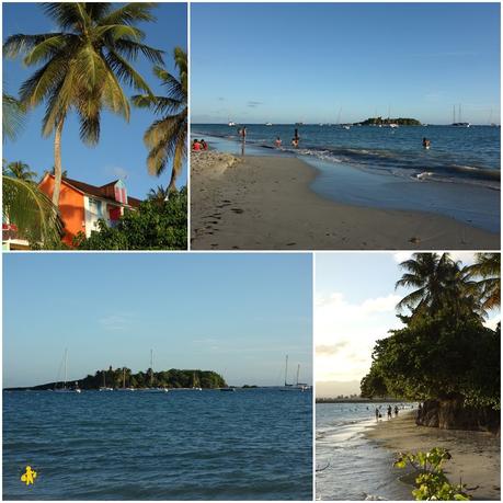Que faire en famille en Guadeloupe? Que faire en famille en Guadeloupe?