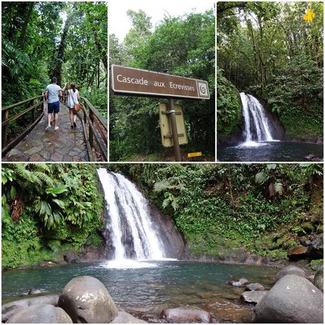 Que faire en famille en Guadeloupe? Que faire en famille en Guadeloupe?