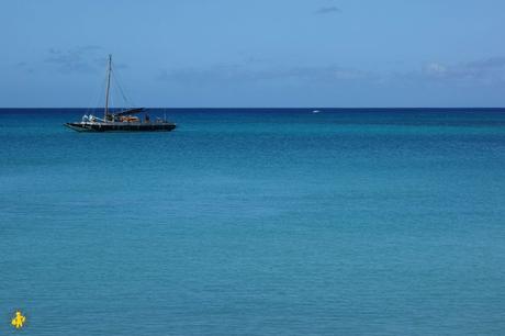 Que faire en famille en Guadeloupe? Que faire en famille en Guadeloupe?