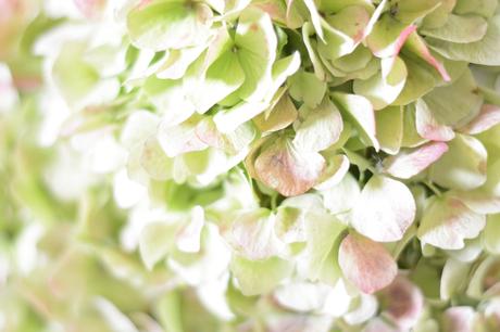 Interlude amoureuse Interlude amoureuse 1