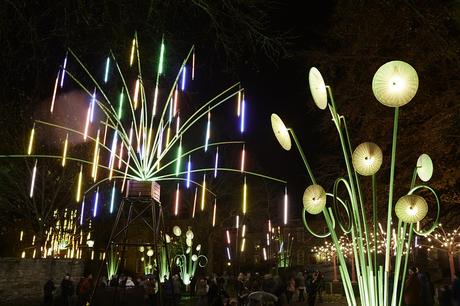 Garden of Light-Tilt-Lumiere 2015 produced by Artichoke in Durham credit Matthew Andrews 2015