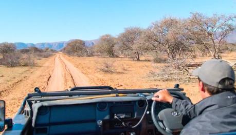 « Safari South Africa », de Tyler Fairbank safari