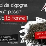 Un nid de cigogne peut peser jusqu’Ă une 1,5 tonne ! Les leçons de choses - poids nid de cigogne
