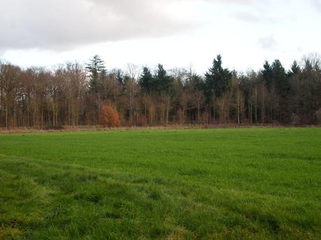Fin d’année dans la Beauce Fin d’année dans la Beauce