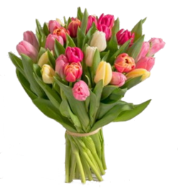 Interflora bouquet tulipes