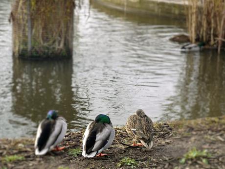 Le Pradey, un hôtel classieux à deux pas des Tuileries Le Pradey, un hôtel classieux à deux pas des Tuileries