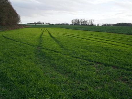 Miroirs et boue Miroirs et boue