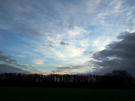 Miroirs et boue Miroirs et boue