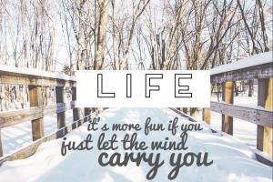 Quand perdre le contrôle fait du bien 12540326_10205034801461119_539536121_n