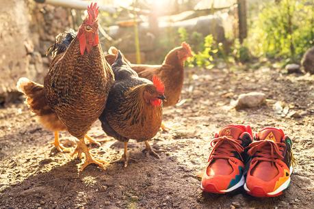 24 Kilates x Le Coq Sportif LCS R1000 Gallo 24-Kilates-Le-Coq-Sportif-LCS-R1000-Gallo-7