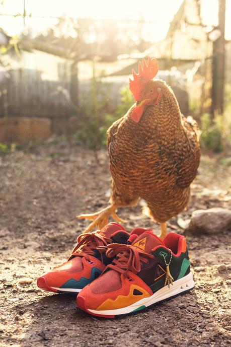 24 Kilates x Le Coq Sportif LCS R1000 Gallo 24-Kilates-Le-Coq-Sportif-LCS-R1000-Gallo-6