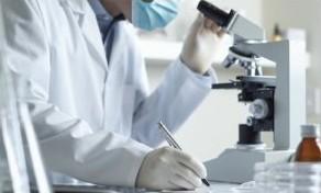 scientifique curcuma