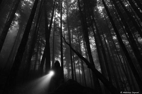 A la tombée de la nuit Une forêt sombre, une légère brume, une silhouette, une lampe torche... Une scène pesante, photographiée par Matthieu Dupont
