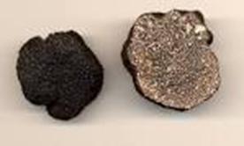 ‘Françoise vous parle de Saveurs’ avec la Truffe noire ! imgres