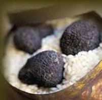 ‘Françoise vous parle de Saveurs’ avec la Truffe noire ! images