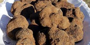 ‘Françoise vous parle de Saveurs’ avec la Truffe noire ! images-3