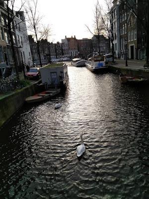 Amsterdam 1/3 Amsterdam 1/3