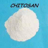 Le chitosan; une fibre naturelle contre l'accumulation des graisses