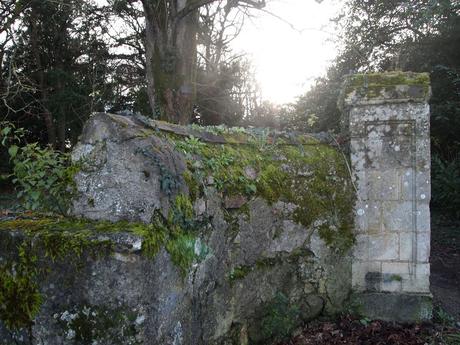 les pâtisseries d’Aigrefeuille + look du jour OLYMPUS DIGITAL CAMERA