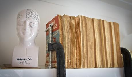 Les objets et moi ou Hoarding 101 Les objets et moi ou Hoarding 101