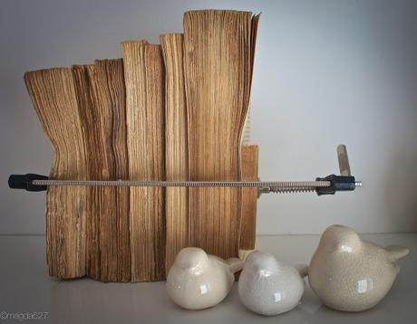 Les objets et moi ou Hoarding 101 Les objets et moi ou Hoarding 101