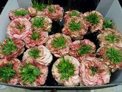 Rose Matahari Rose Matahari