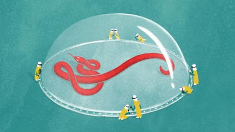 Comment l'Afrique occidentale a vaincu le virus Ebola Comment l'Afrique occidentale a vaincu le virus Ebola