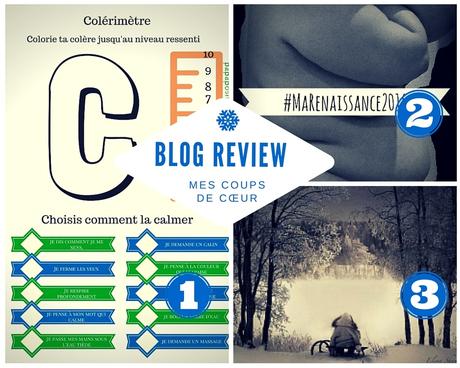 Blog review #55 : colère, combat et froid !