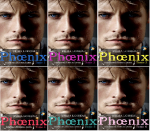 Check-up du Lundi 25.01.16 PHOENIX