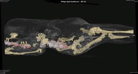 Des scanners montrent que les victimes de Pompéi étaient en bonne santé