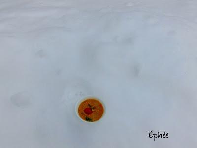 Dhal de lentilles rouges et de courge Dhal de lentilles rouges et de courge