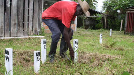 Tombes de personnes non identifiées à Bocas de Satinga, département de Nariño, sud de la Colombie. CC-BY-NC-ND/María Cristina Rivera