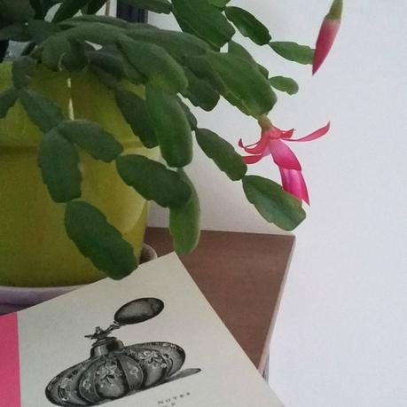 Fleurs d'hiver janv2016