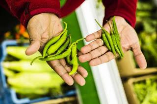 Chulao - Riz à l'agneau et à la moelle - Rice with lamb and marrow Chulao - Riz à l'agneau et à la moelle - Rice with lamb and marrow
