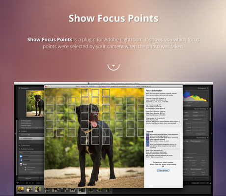 Plugin Lightroom : Show Focus Point